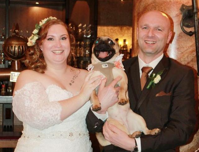 Dog friendly wedding. A couple with a dog